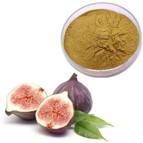 تصویر 3 از پودر انجیر سبز ترکیب خشک ویژه کاربرد خوراکی سنتی